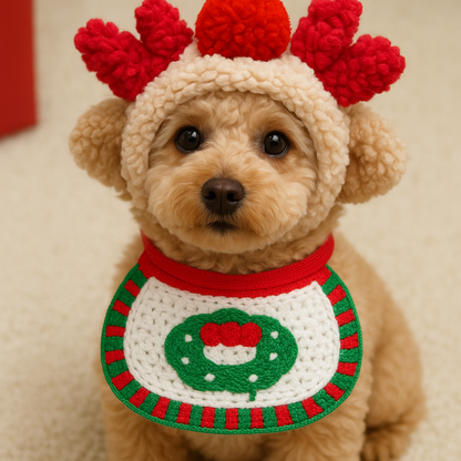 Christmas outfits for dogs