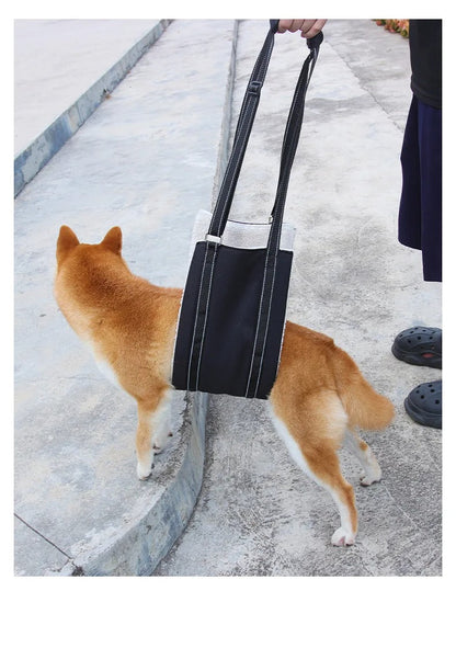 Dog support harness - Adjustable rehabilitation belt