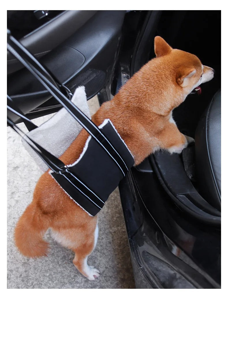 Dog support harness - Adjustable rehabilitation belt
