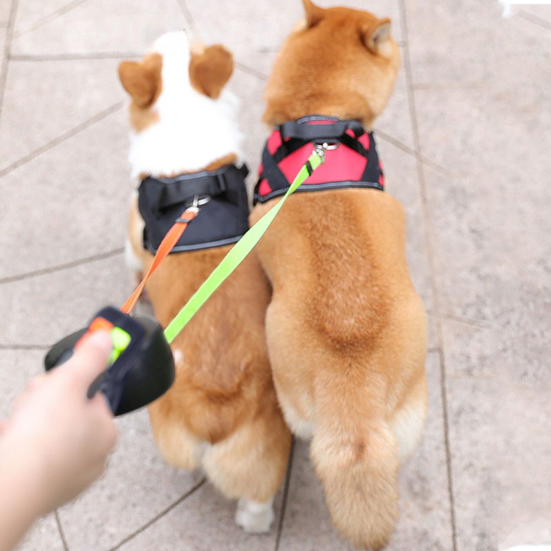 Tangle Free Dual Dog Leash