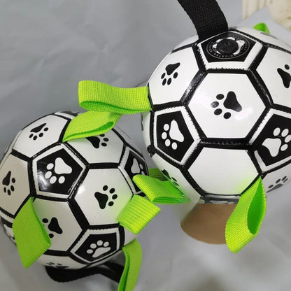 Robust dog toy ball with pull handles