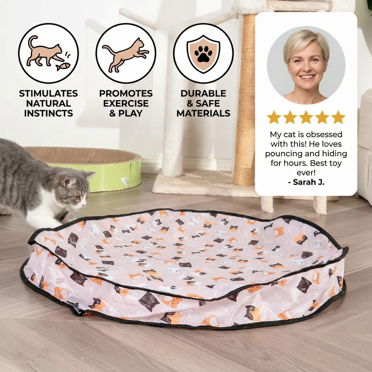 Interactive Hide and Seek Cat Toy